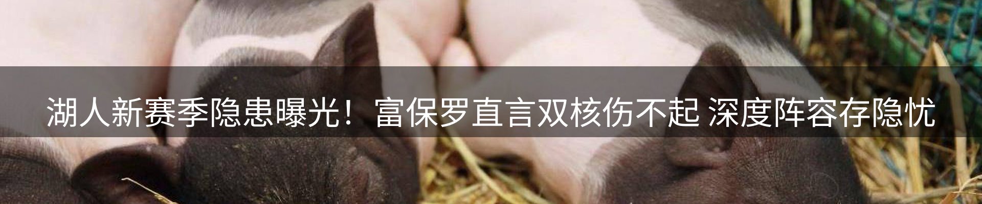 资讯动态