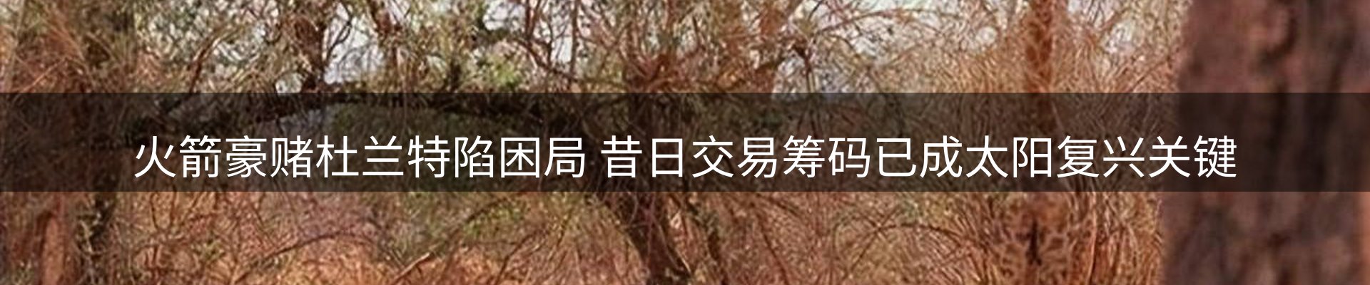 资讯动态