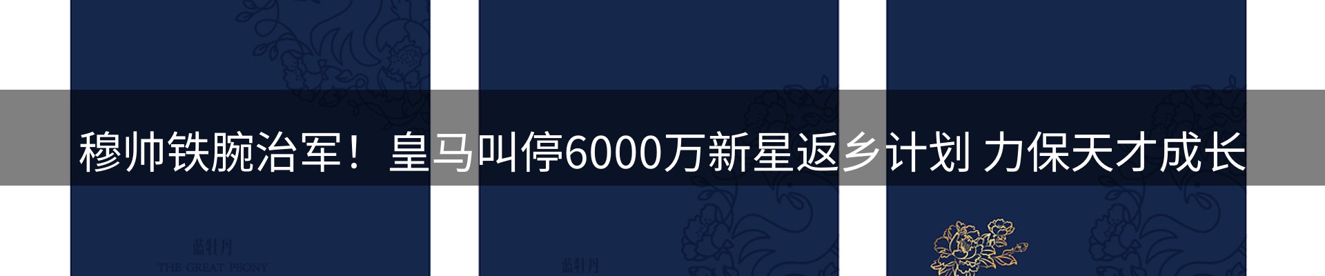 资讯动态