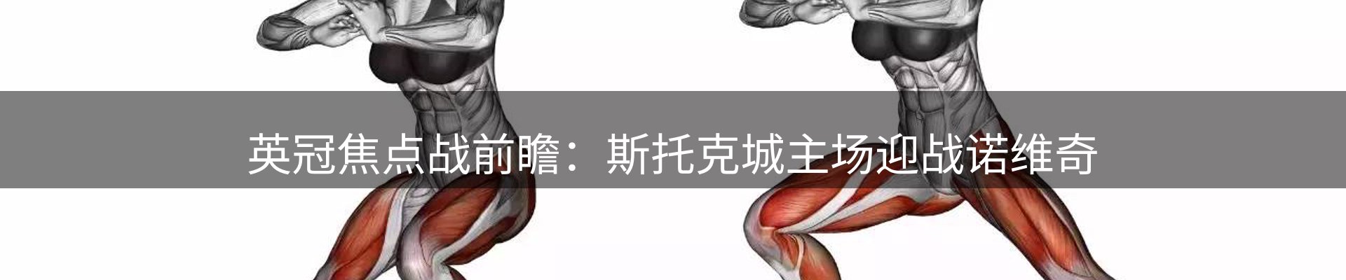 公司盘点