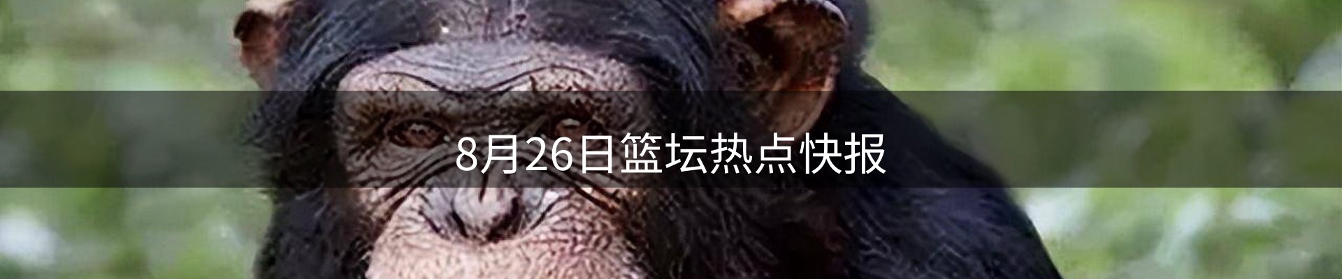 公司盘点